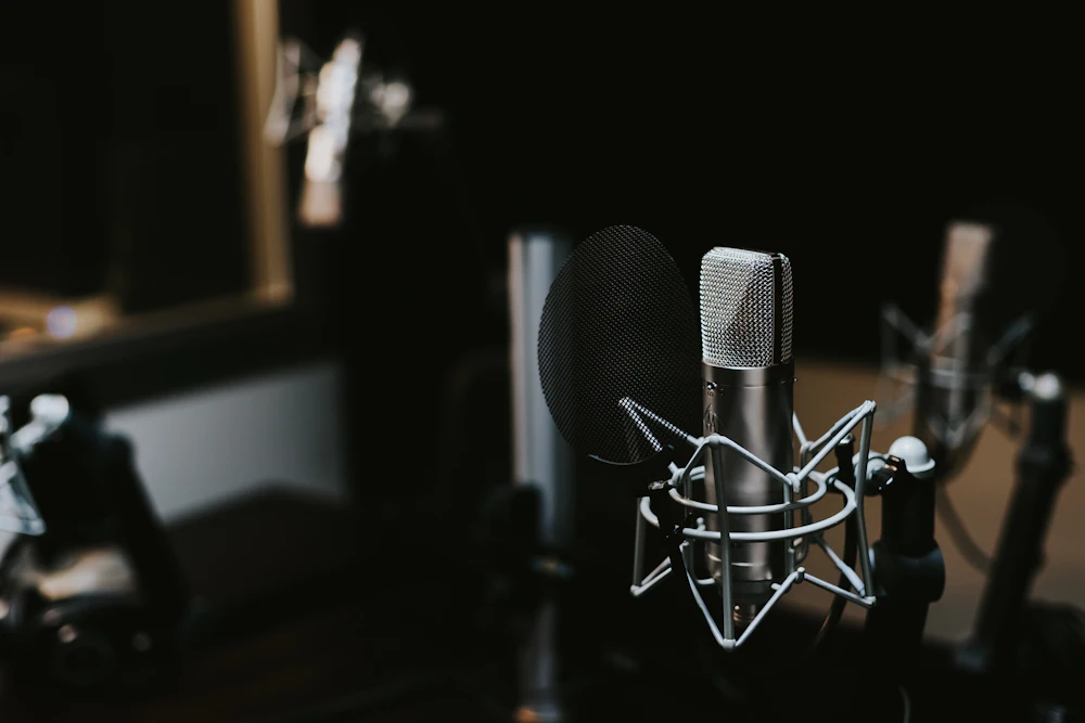 A studio condenser microphone in low light
